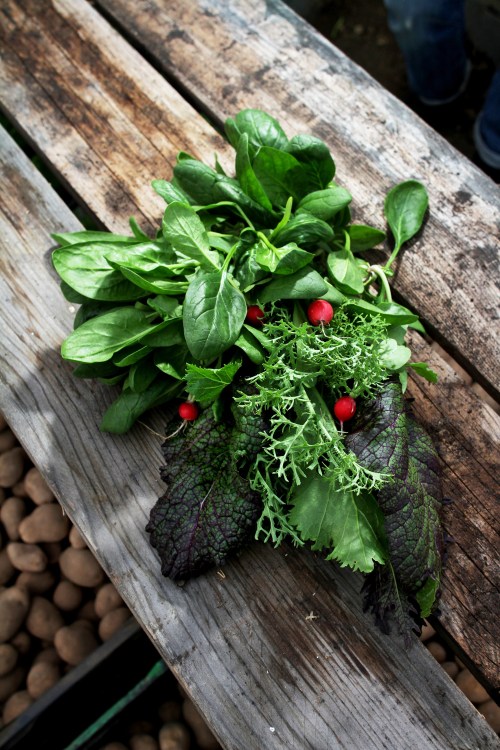 13_Zeitmagazin_Lisa_Wassmann