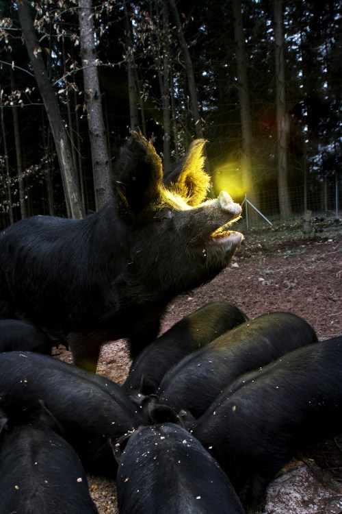 15_Zeitmagazin_Lisa_Wassmann